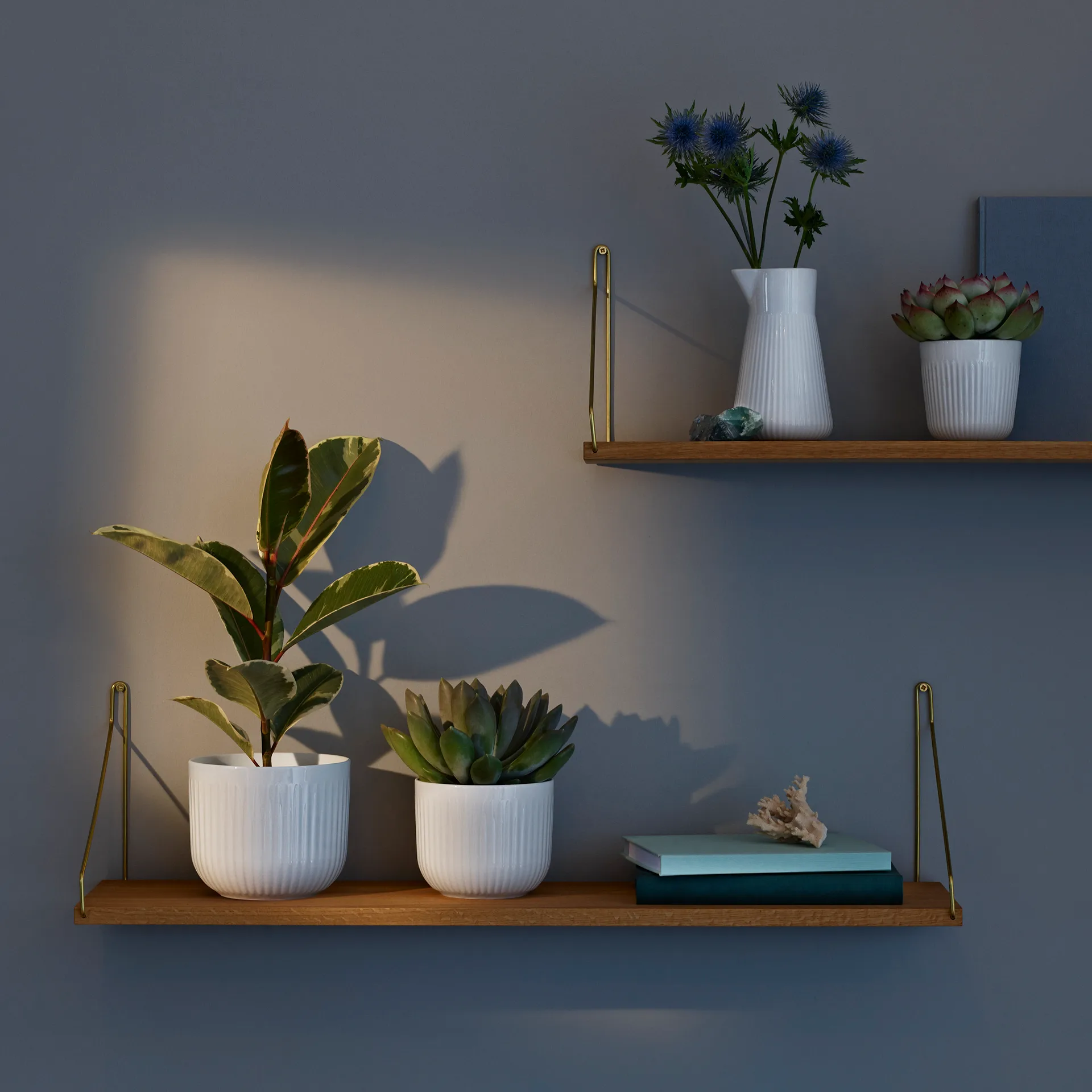 Eva Trio Legio Nova 植木鉢 ホワイト, Small Eva Solo | エバソロ