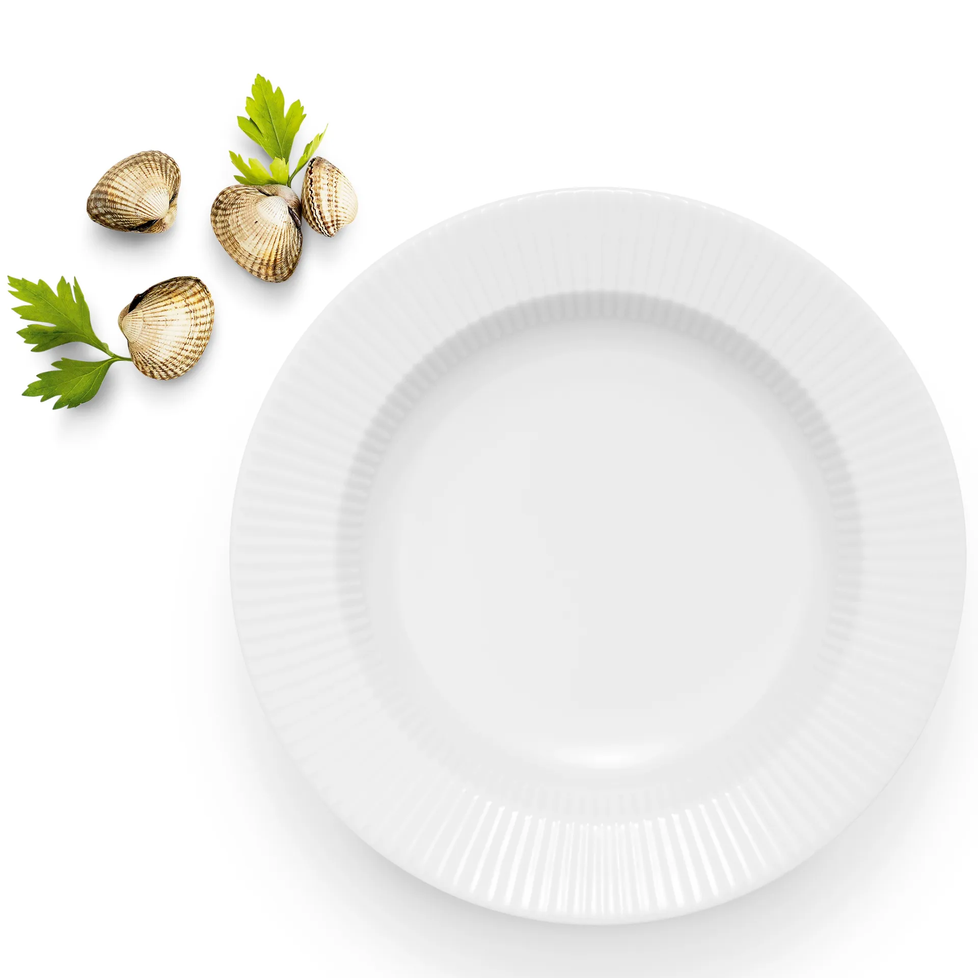 Eva Trio Legio Nova ディーププレート, white Eva Solo | エバソロ