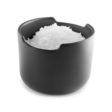 Nordic Kitchen salt 蓋付きジャー - black - Eva Solo | エバソロ
