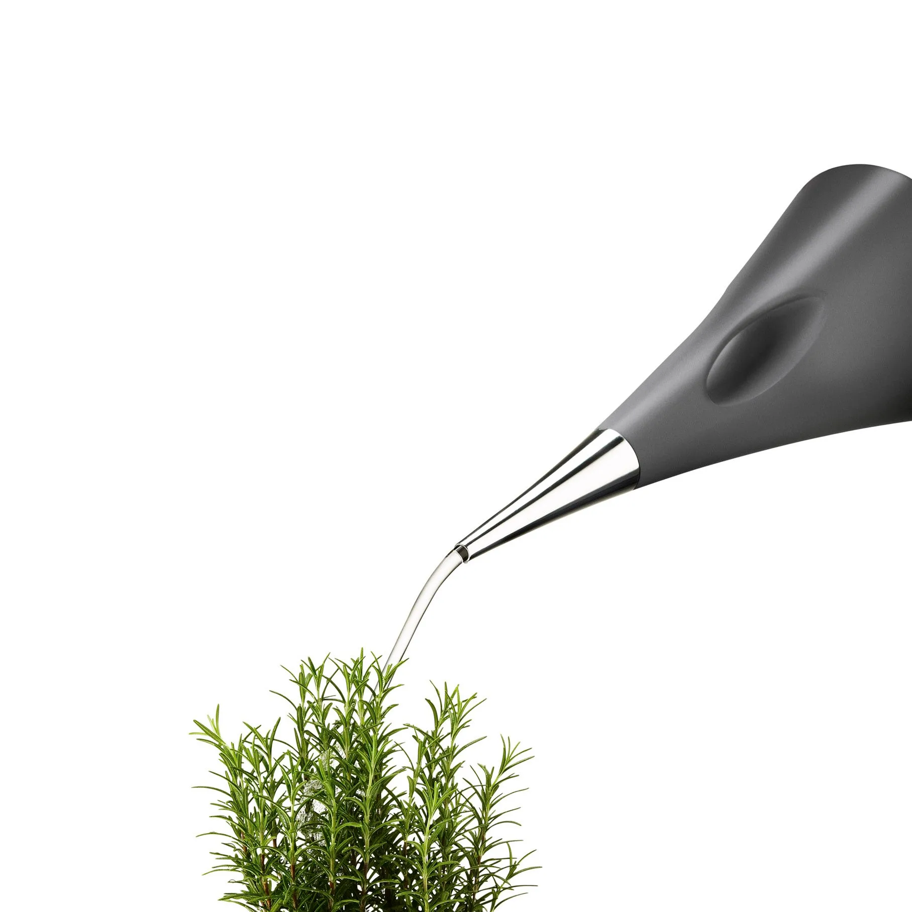 アクアStar じょうろ, grey Eva Solo | エバソロ