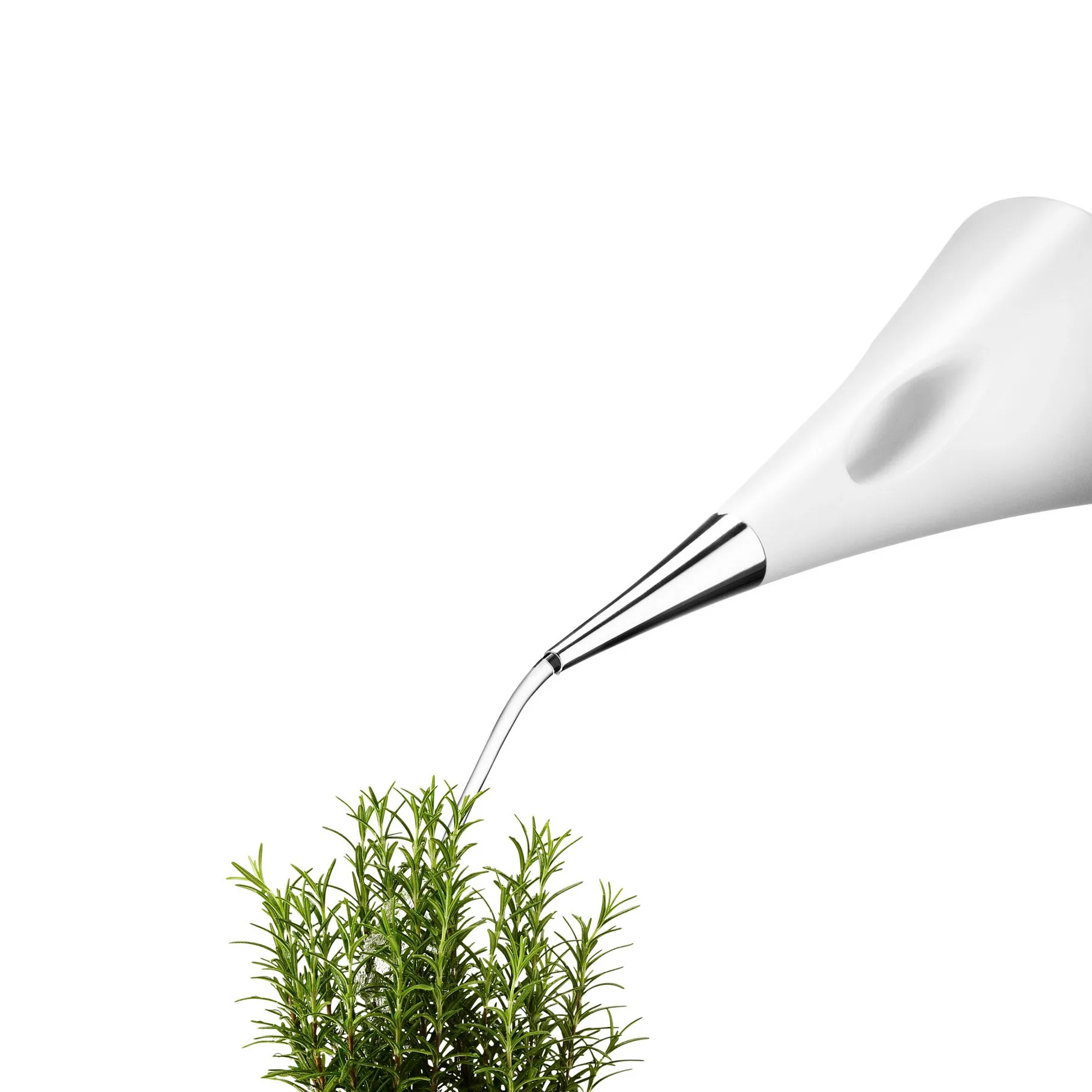 アクアStar じょうろ, white Eva Solo | エバソロ