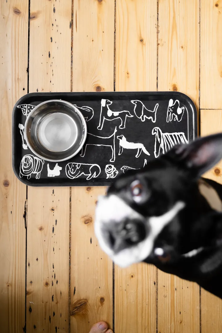 Fine Little Day | ファインリトルデイ からのDogs トレイ 22x43 cm