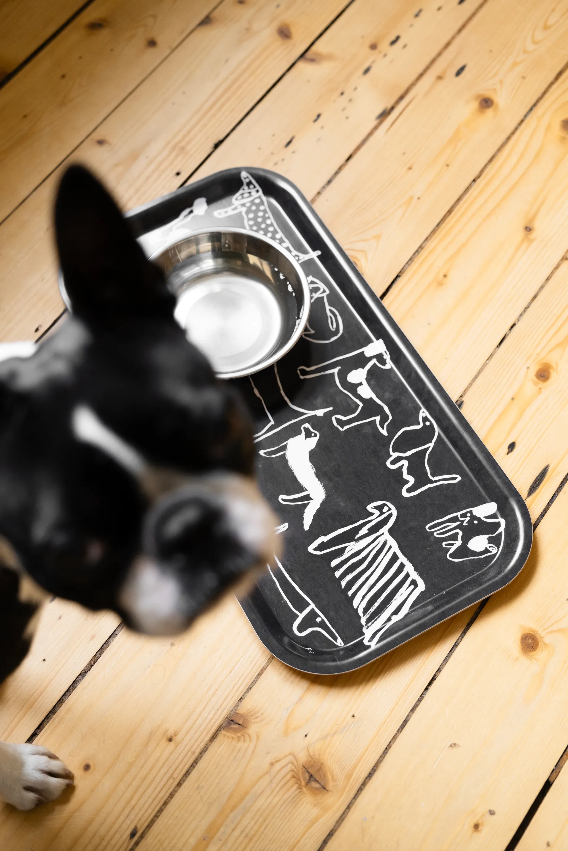 Dogs トレイ 22x43 cm, Black-white Fine Little Day | ファインリトルデイ