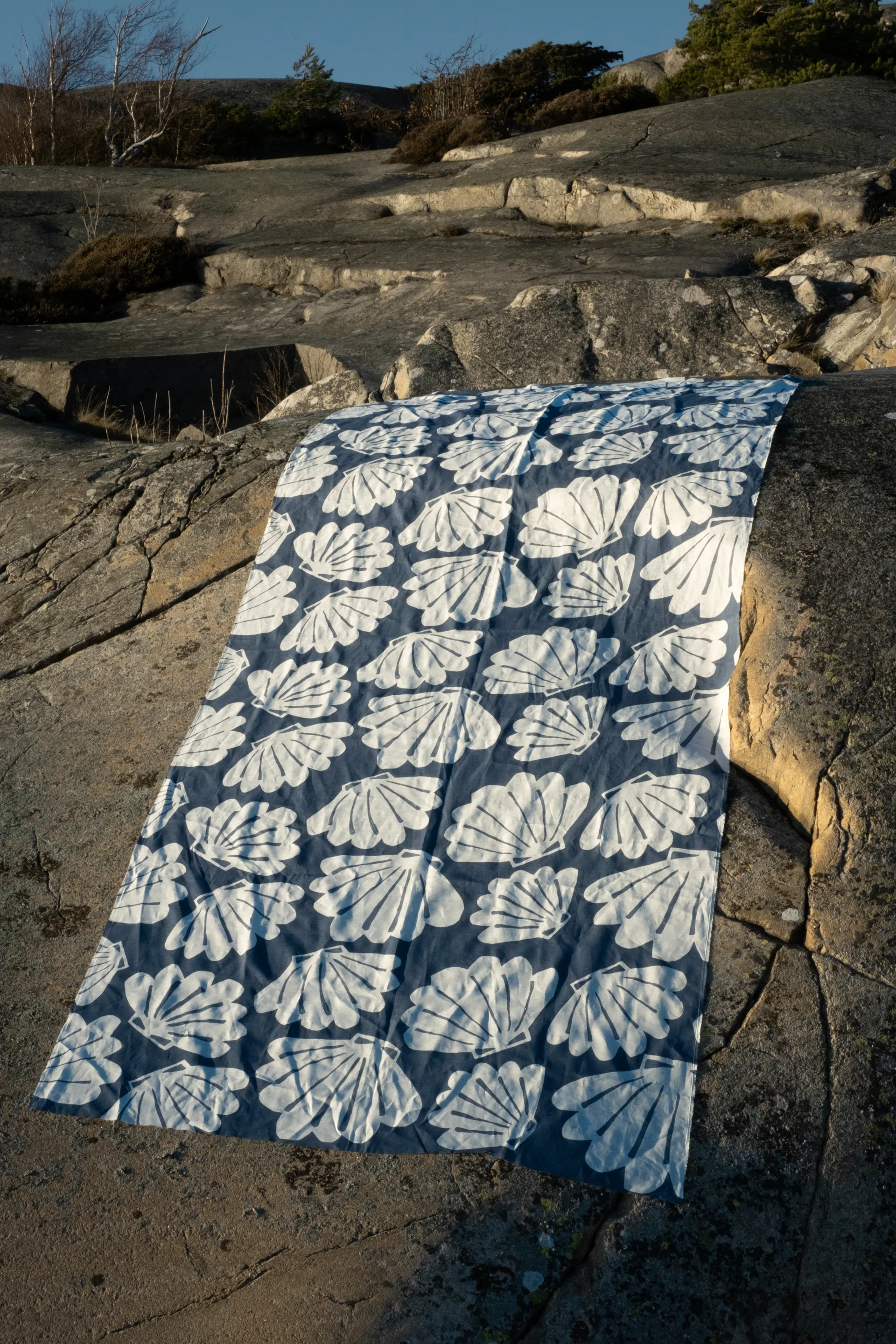 Shell ファブリック, Blue Fine Little Day | ファインリトルデイ