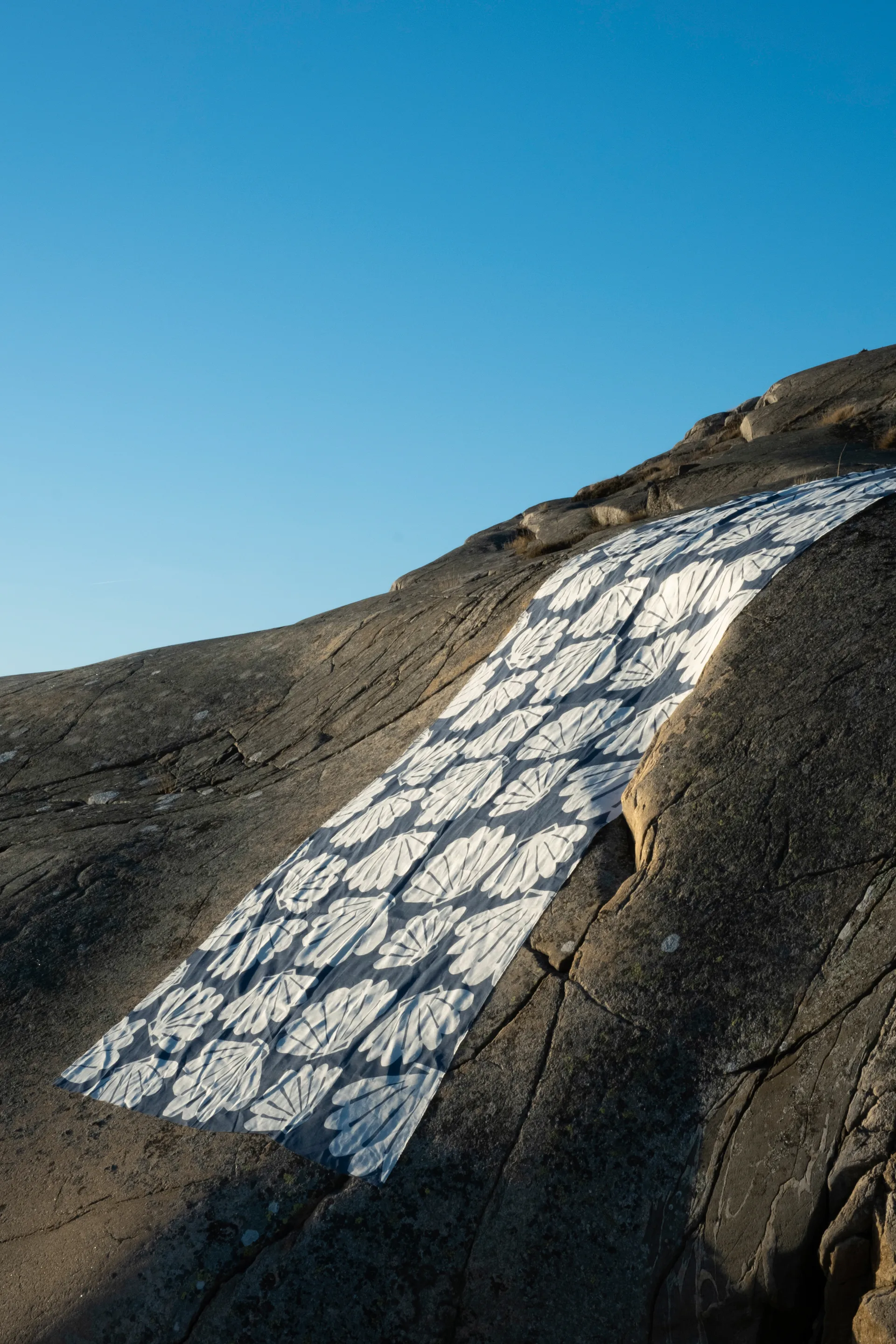 Shell ファブリック, Blue Fine Little Day | ファインリトルデイ