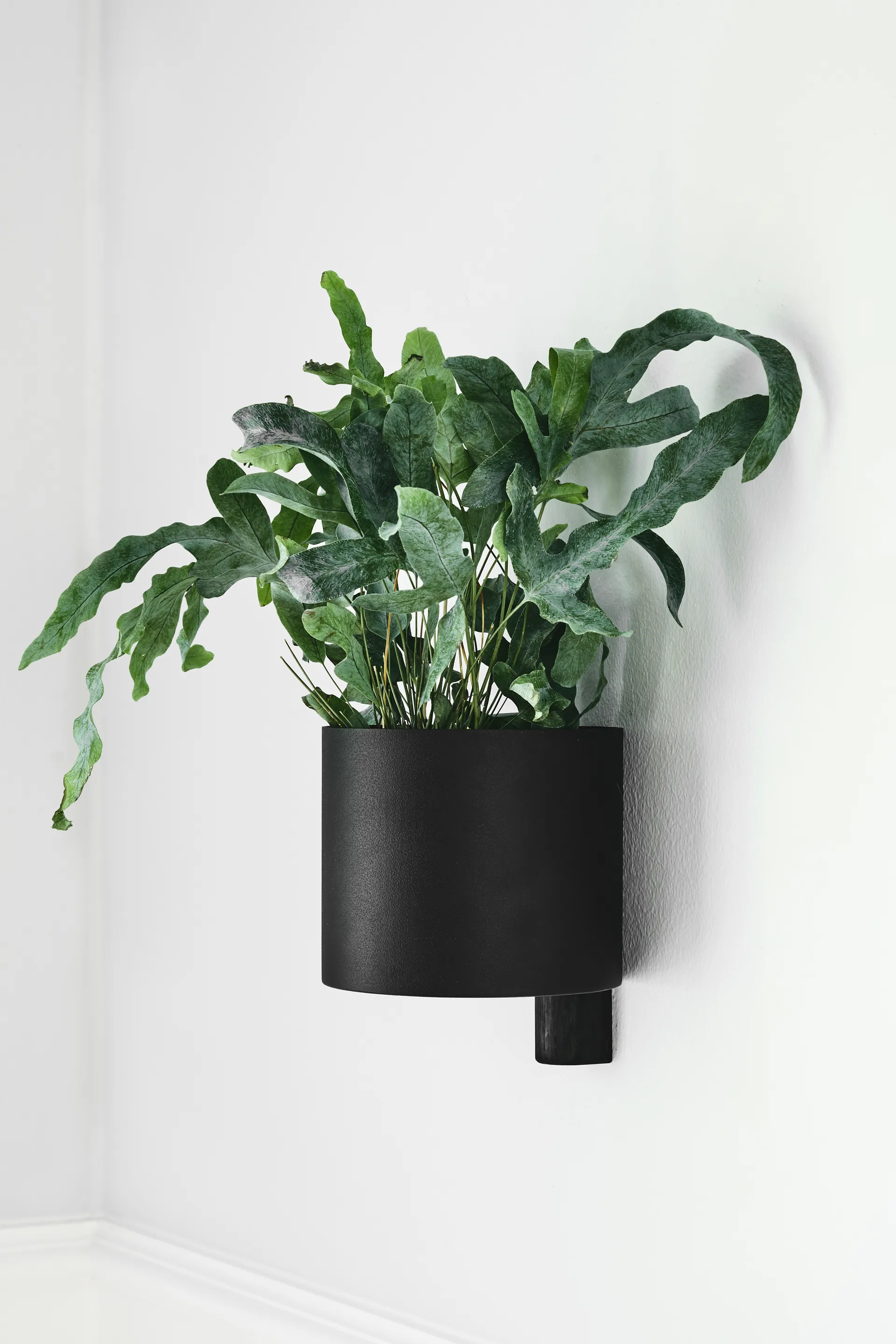 Kollage フラワーポット Ø14 cm, Black-Oak Gejst | ガイスト