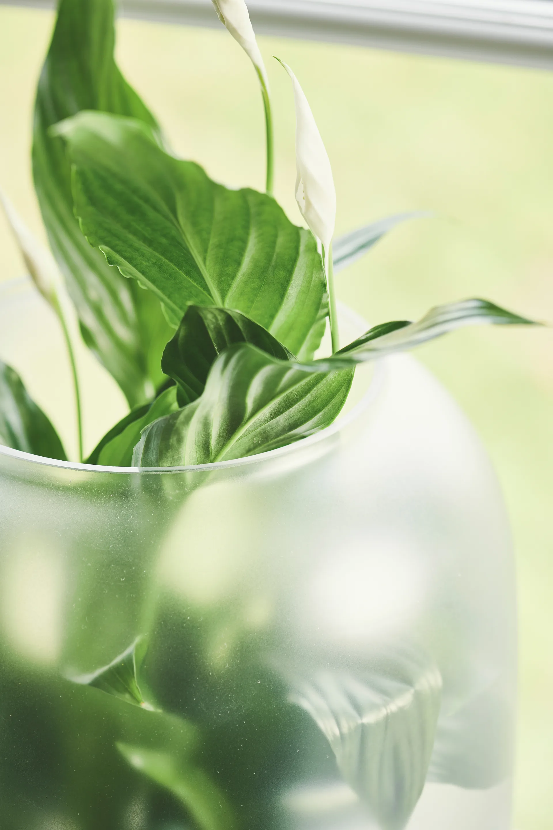 Nebl 植木鉢 フロストガラス Ø26 cm, Grey Gejst | ガイスト