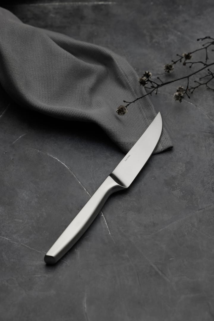 Norm グリルナイフ 4パック, Matte stainless steel Gense | ゲンセ