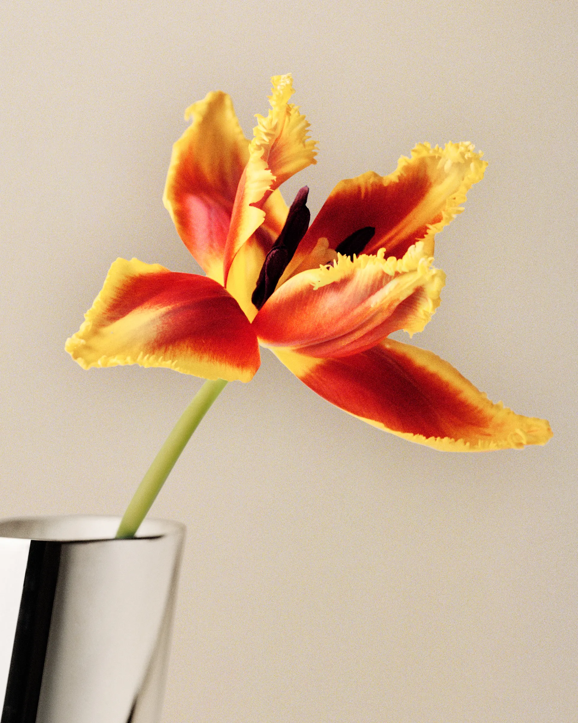 Lituus 花瓶 ラージ 34.2 cm, Stainless steel Georg Jensen | ジョージ ジェンセン