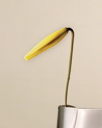Lituus 花瓶 ラージ 34.2 cm - Stainless steel - Georg Jensen | ジョージ ジェンセン