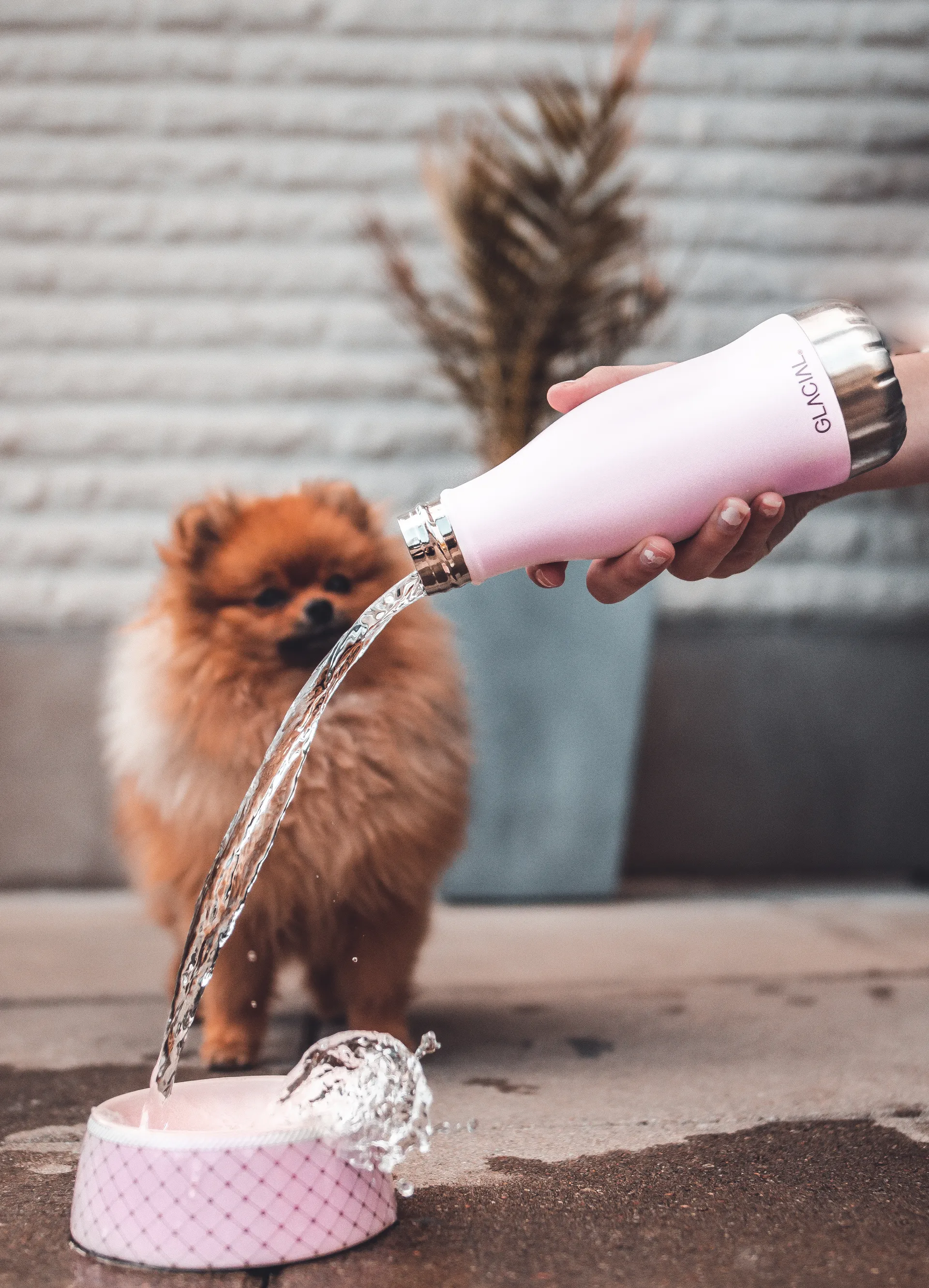 Glacial 水筒 280 ml, Matte pink powder Glacial