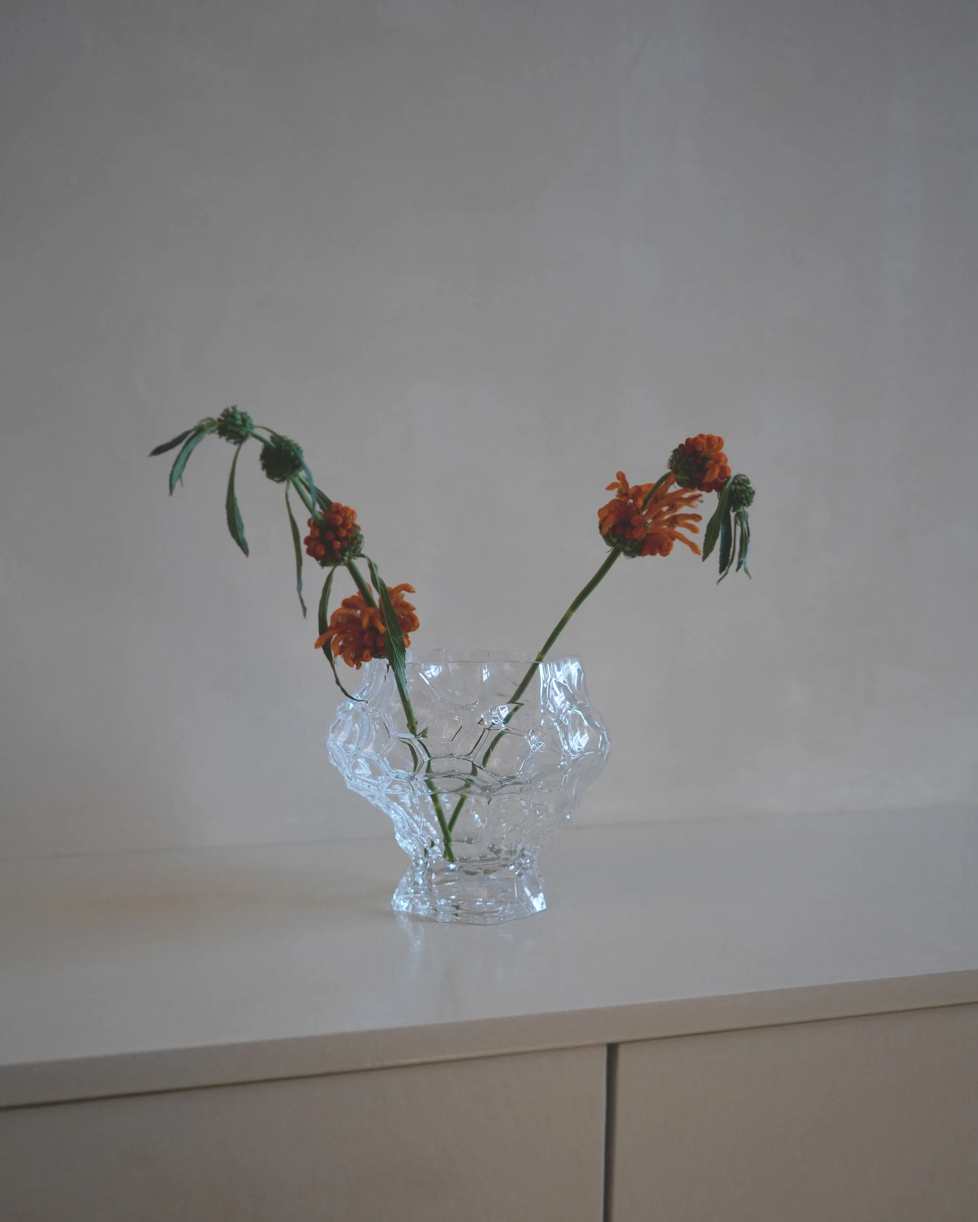 Canyon ミディアム花瓶 18 cm, Clear Hein Studio