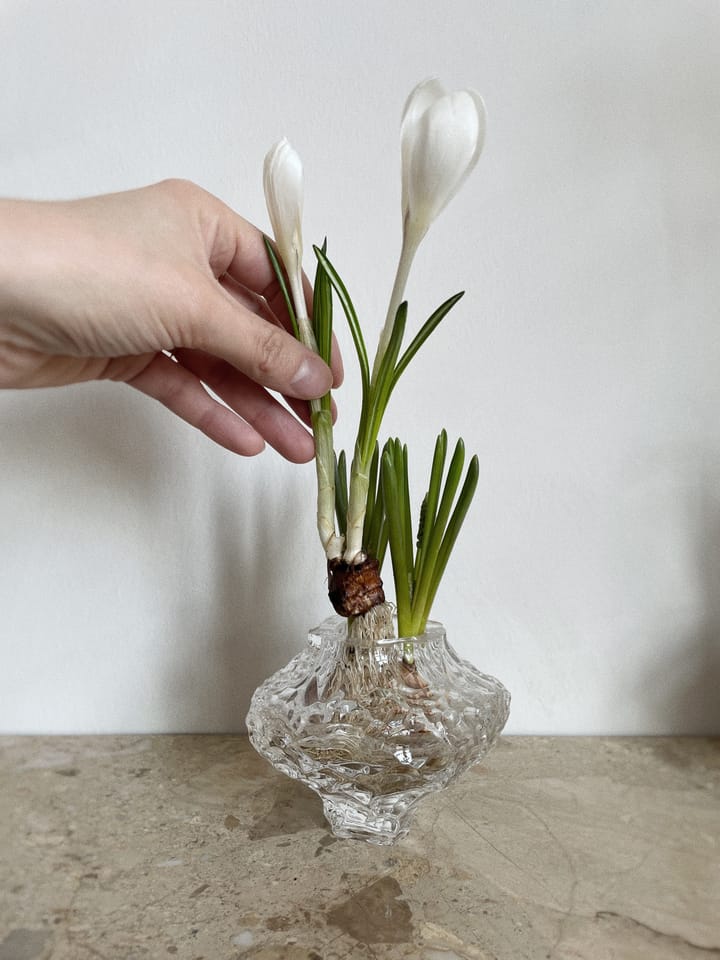 Canyon Mini 花瓶 8 cm, Clear Hein Studio