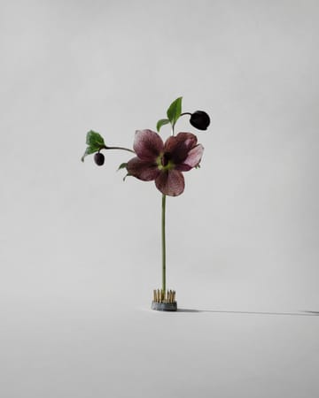 Kenzan 花瓶 - Ø2.3 cm - Hein Studio