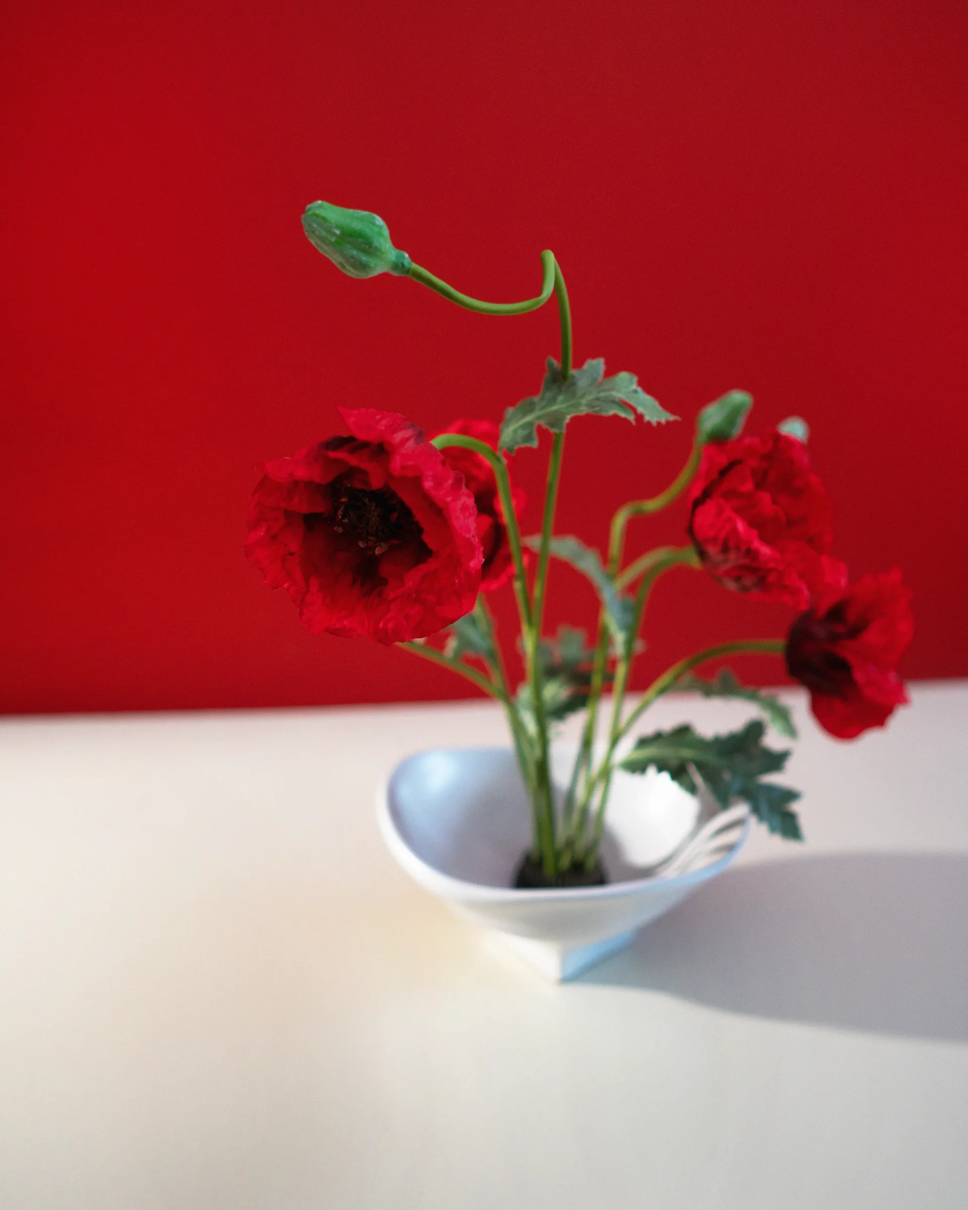 Nami ボウル 大 20x23 cm, White Hein Studio