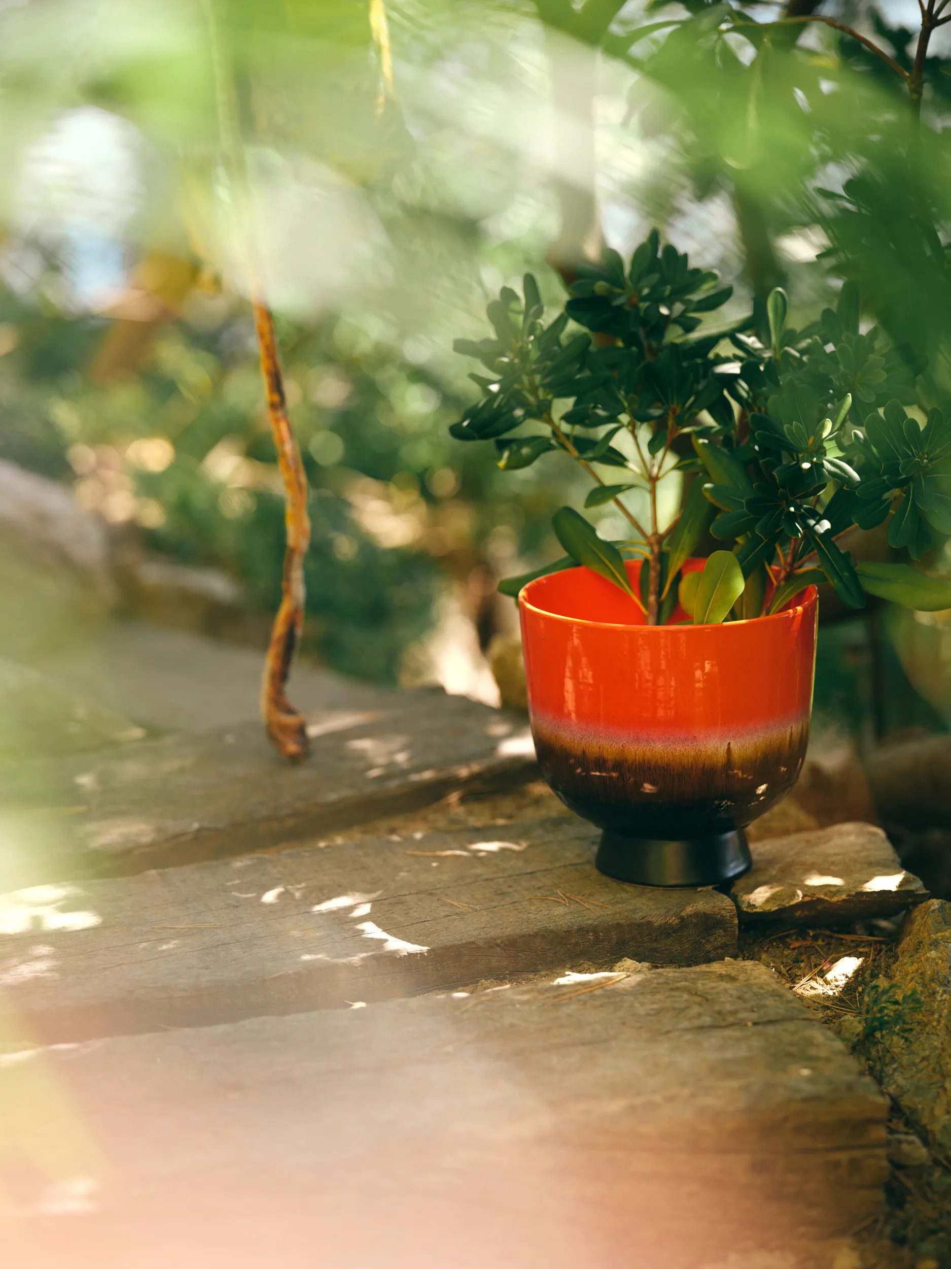 Retro 鉢 Ø20.5 cm, Cherry red HKliving | エイチケーリビング