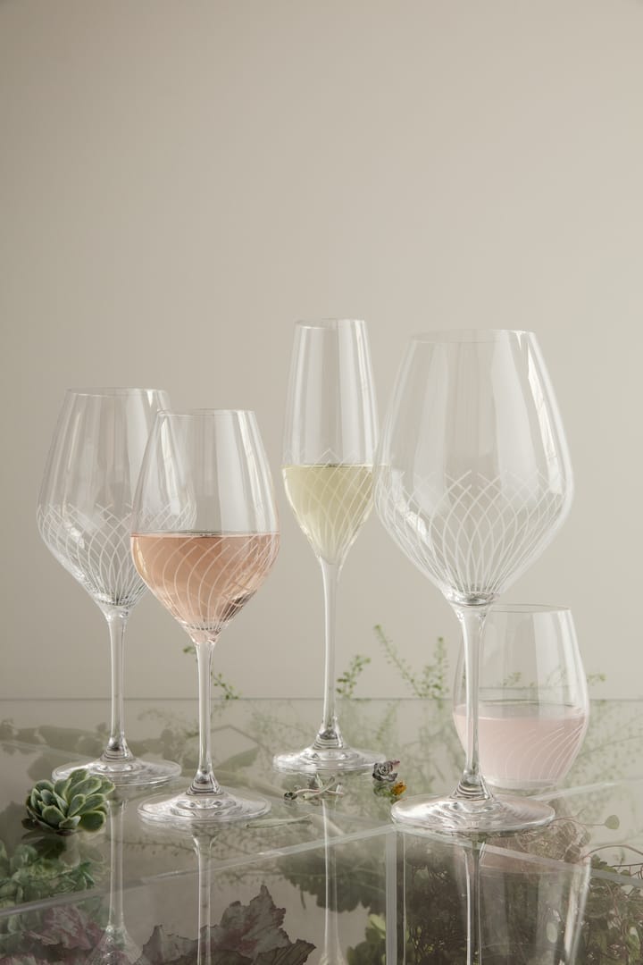 Cabernet Lines ウォーターグラス 25 cl 2-pack, Clear Holmegaard | ホルムガード