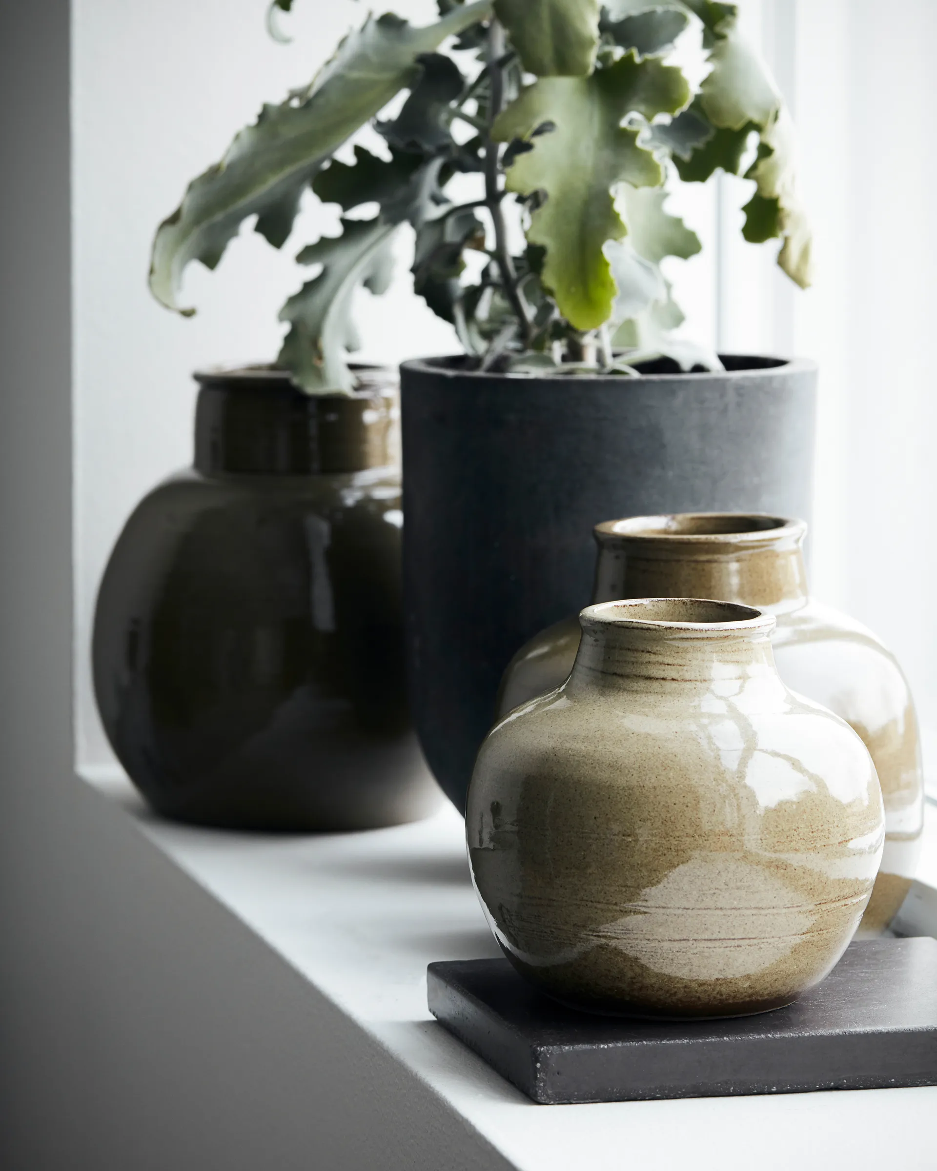 Aju 花瓶 21 cm, Green House Doctor | ハウスドクター