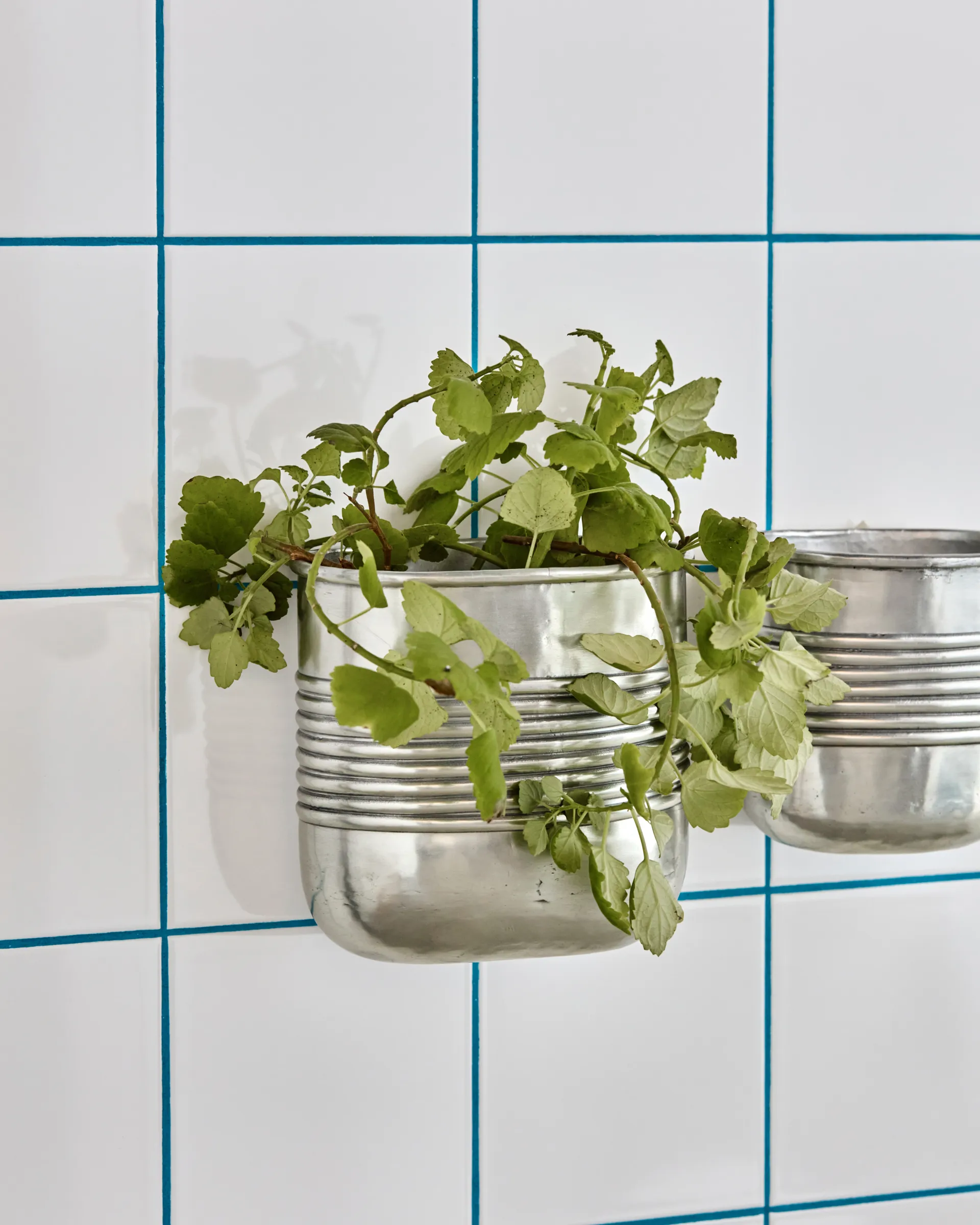 Groove プランター アルミニウム オーバル 2ピース, Antique silver finish House Doctor | ハウスドクター