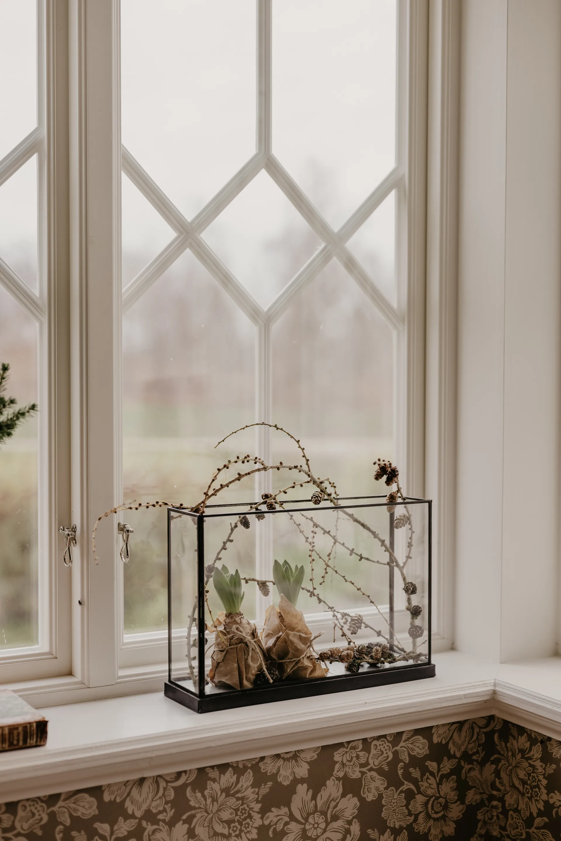 アドベント  ビューイングボックス, metallic House Doctor | ハウスドクター