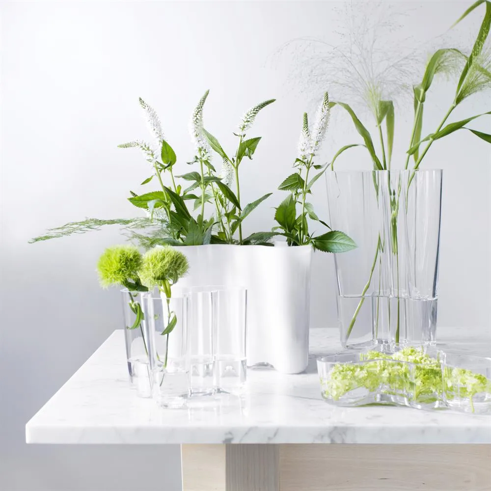 Aalto duo 花瓶, clear Iittala | イッタラ