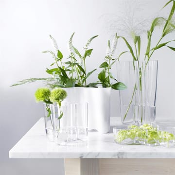 Aalto duo 花瓶 - clear - Iittala | イッタラ