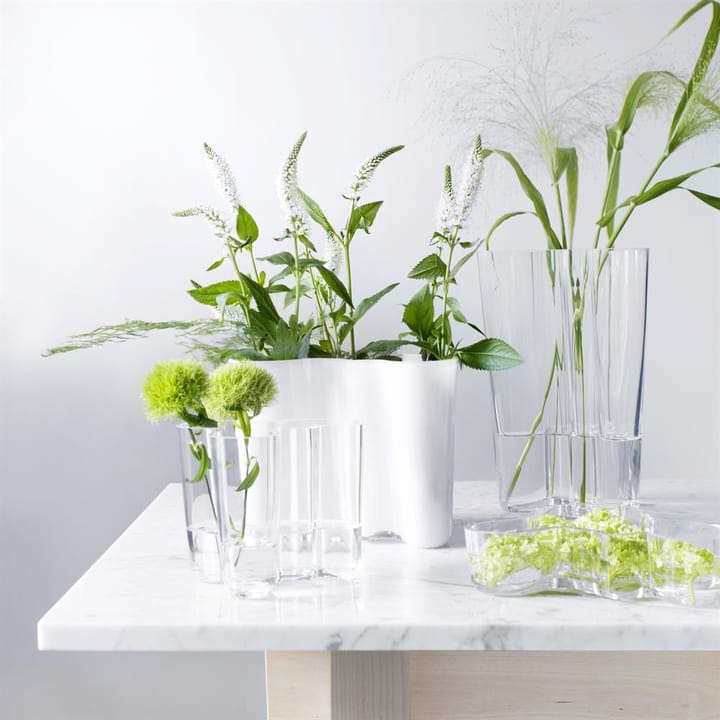 Aalto duo 花瓶 - clear - Iittala | イッタラ