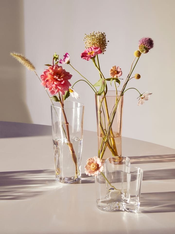 Alvar Aalto 花瓶 Rio brown - 180 mm - Iittala | イッタラ