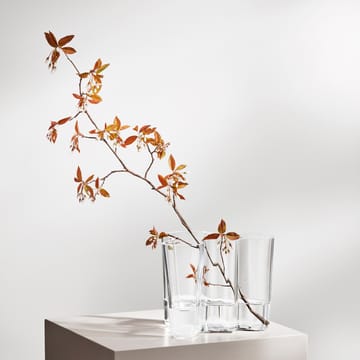 Alvar Aalto/アルヴァ・アアルト 花瓶 Savoy クリア - 160 mm - Iittala | イッタラ