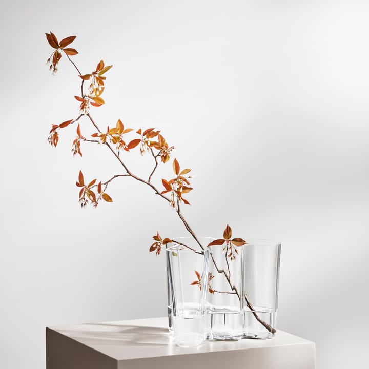 Alvar Aalto/アルヴァ・アアルト 花瓶 Savoy クリア - 160 mm - Iittala | イッタラ