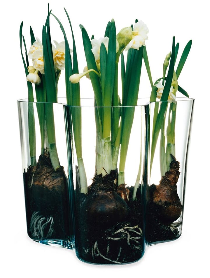 Alvar Aalto/アルヴァ・アアルト 花瓶 Savoy クリア - 160 mm - Iittala | イッタラ