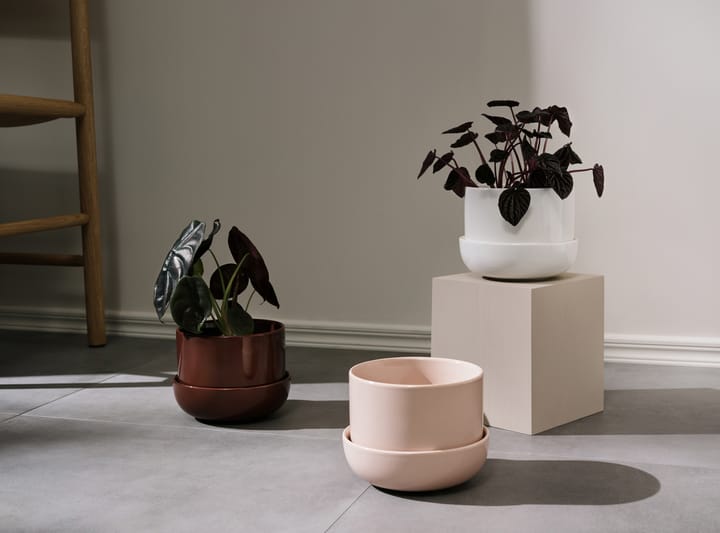 Nappula 植木鉢 ソーサー付き 130x170 mm - White - Iittala | イッタラ