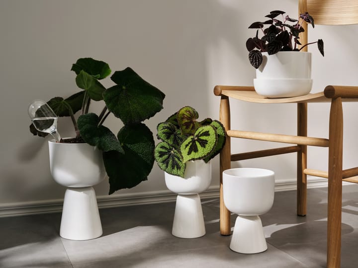 Nappula 植木鉢 ソーサー付き 130x170 mm - White - Iittala | イッタラ