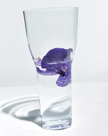 Solare 花瓶 高さ大 - Iittala | イッタラ