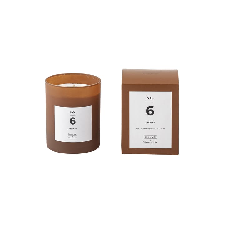 NO. 6 Sequoia 香り付き キャンドル - 200 g + giftbox - Illume x Bloomingville