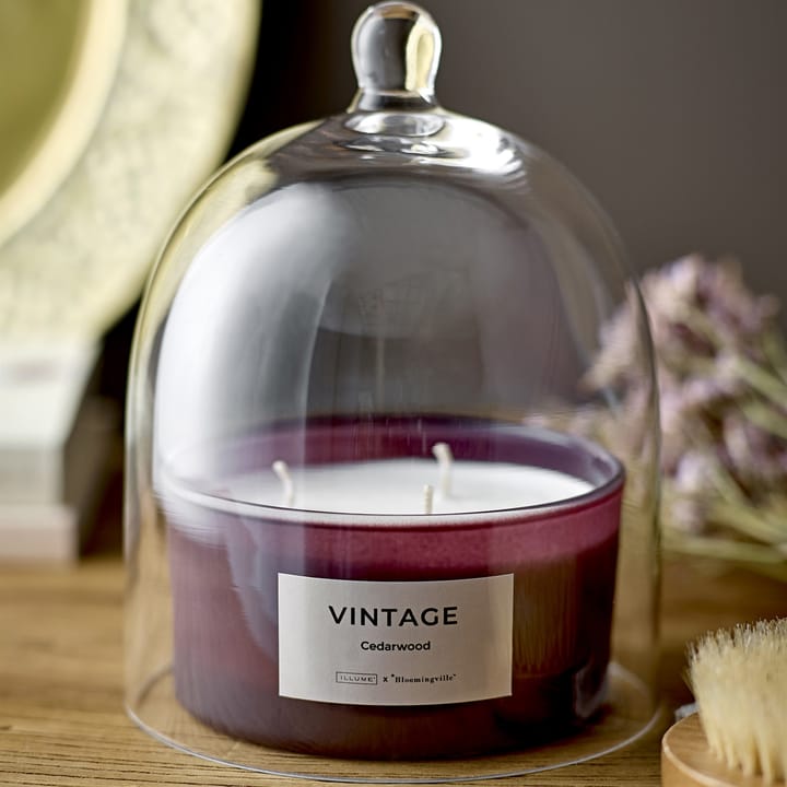 Vintage Cedar木製 香り付き キャンドル, 250 g Illume x Bloomingville