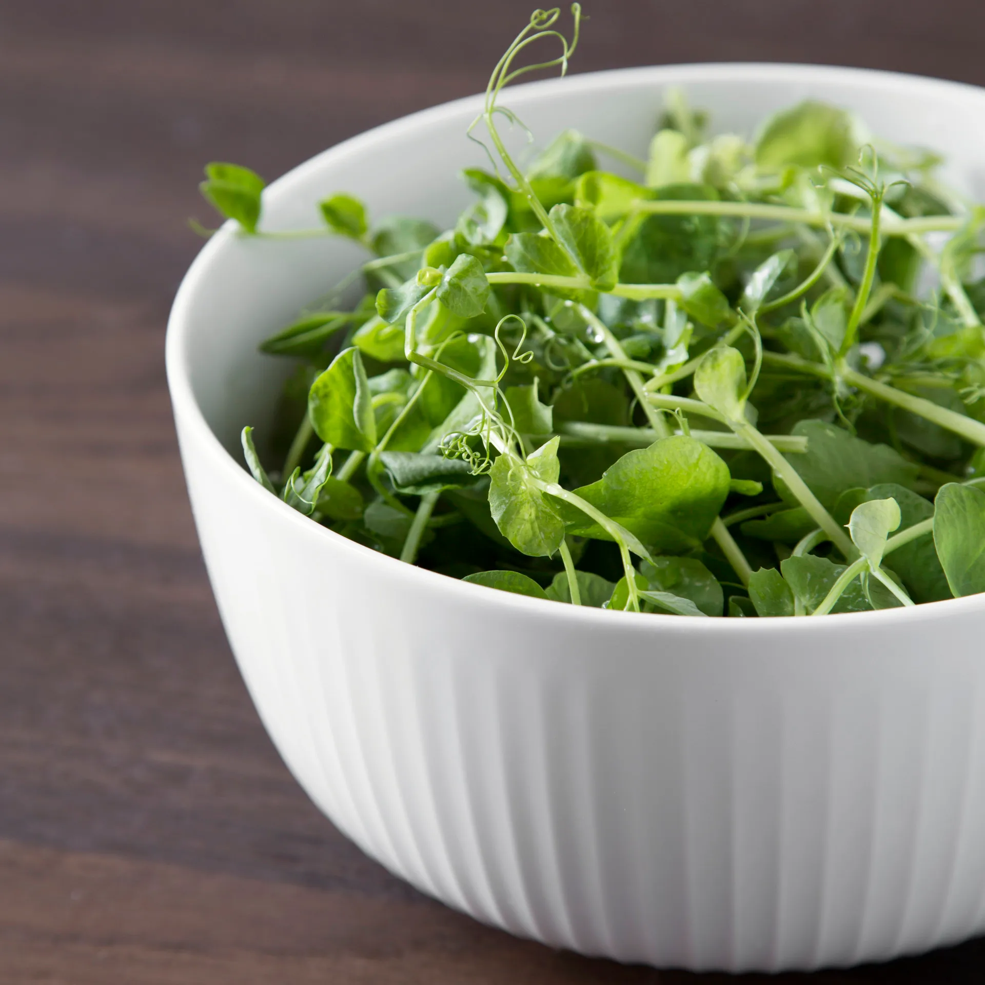 ハンマースホイ ボウル Ø21 cm, white Kähler | ケーラー