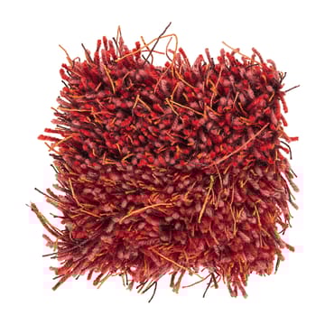 Moss ラグ 200x300 cm - Deep coral - Kasthall