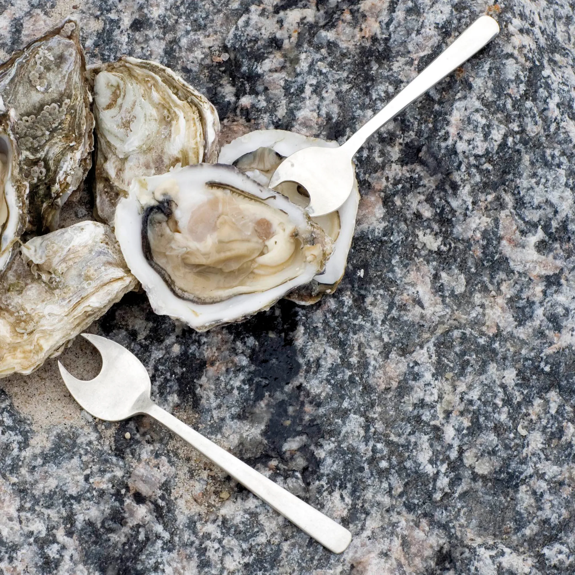 Grand Prix 海鮮用 カトラリー 8ピース, Matte steel Kay Bojesen