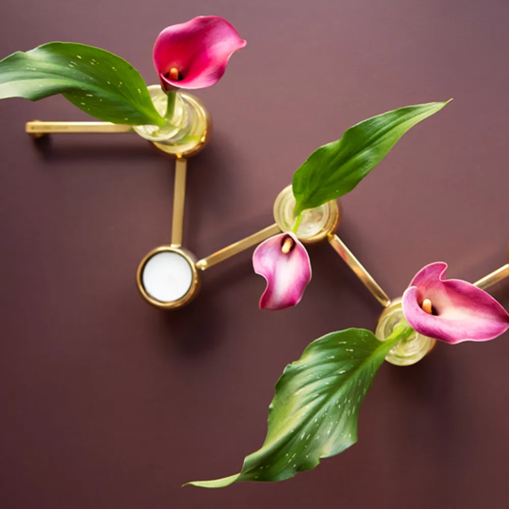 Constella ガラスインサート 5パック, clear KLONG | クロング