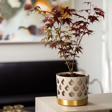 Trio Drop 植木鉢 beige with saucer in brass - Medium Ø18 cm - KLONG | クロング