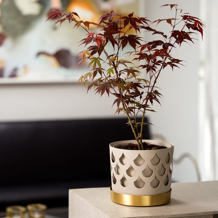 Trio Drop 植木鉢 beige with saucer in brass, Medium Ø18 cm KLONG | クロング