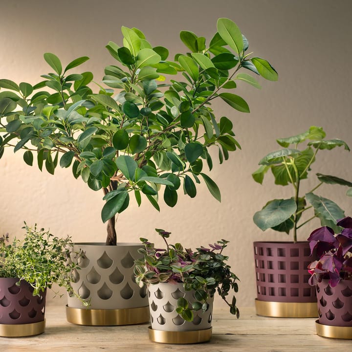 Trio Drop 植木鉢 beige with saucer in brass, Medium Ø18 cm KLONG | クロング