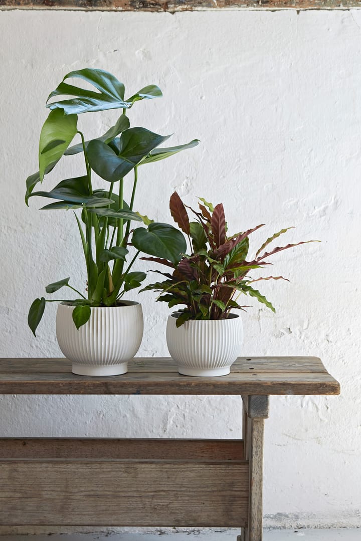 Knabstrup 植木鉢 フルート Ø14.5 cm, White Knabstrup Keramik
