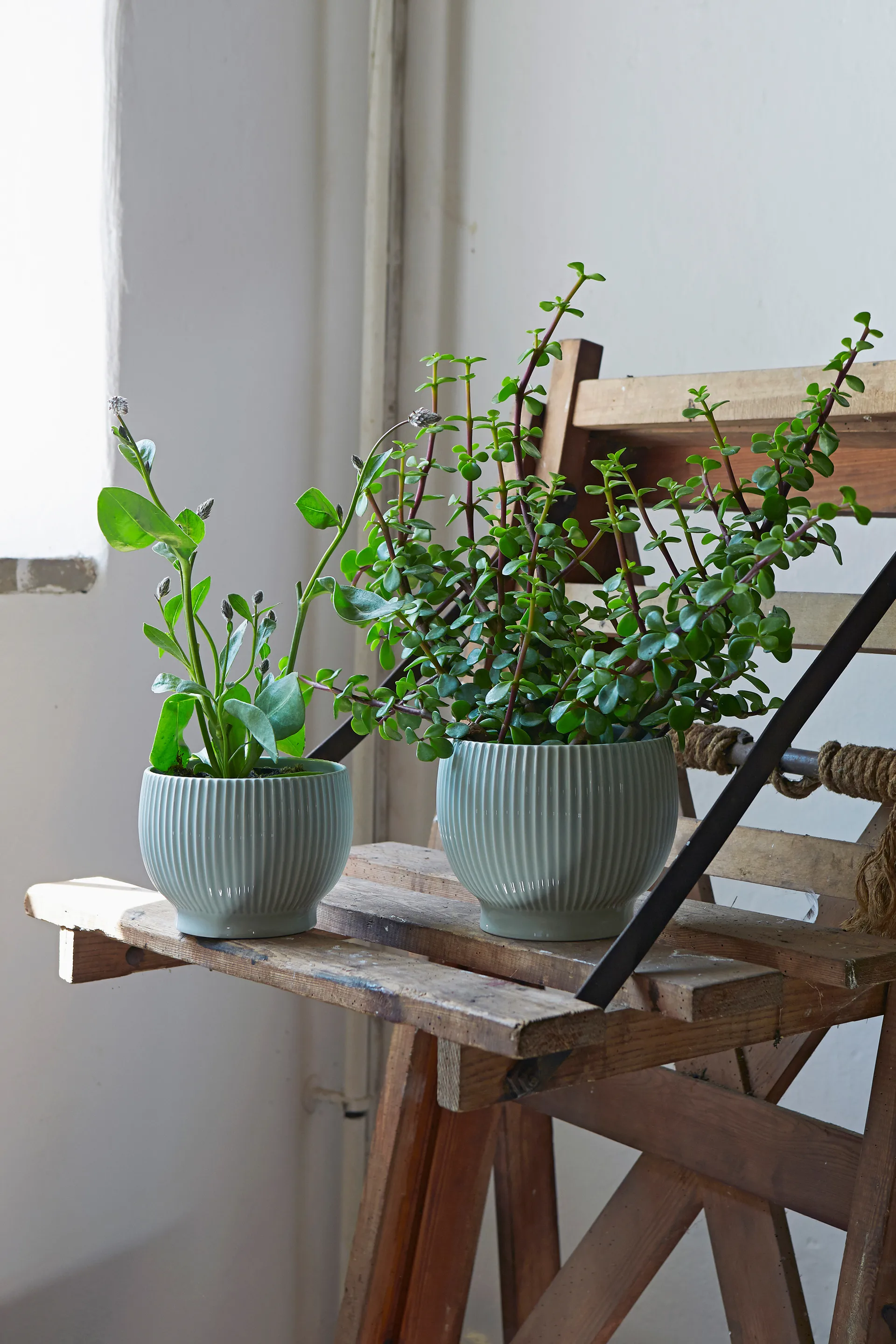 Knabstrup 植木鉢 フルート Ø16.5 cm, Mintgreen Knabstrup Keramik
