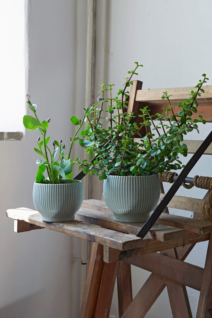Knabstrup 植木鉢 フルート Ø16.5 cm, Mintgreen Knabstrup Keramik