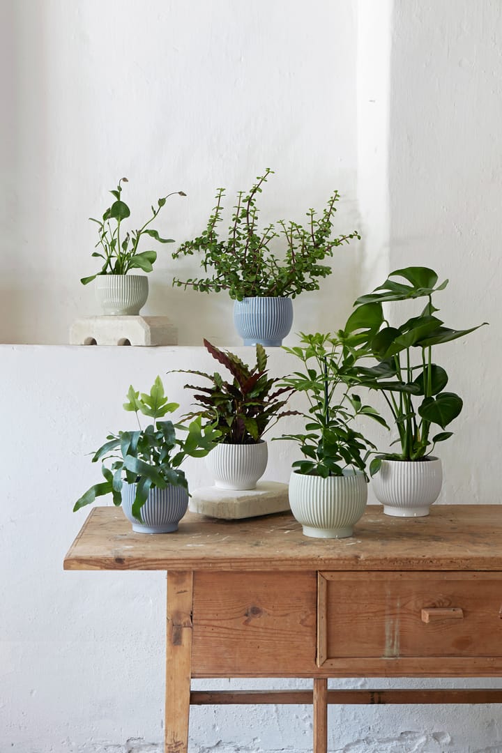 Knabstrup 植木鉢 フルート Ø16.5 cm, Mintgreen Knabstrup Keramik