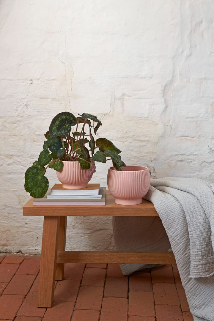 Knabstrup 植木鉢 フルート Ø16.5 cm, Pink Knabstrup Keramik