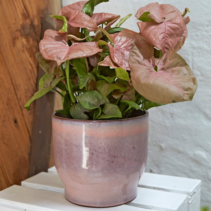Knabstrup outdoor 植木鉢 Ø16.5 cm, pink Knabstrup Keramik