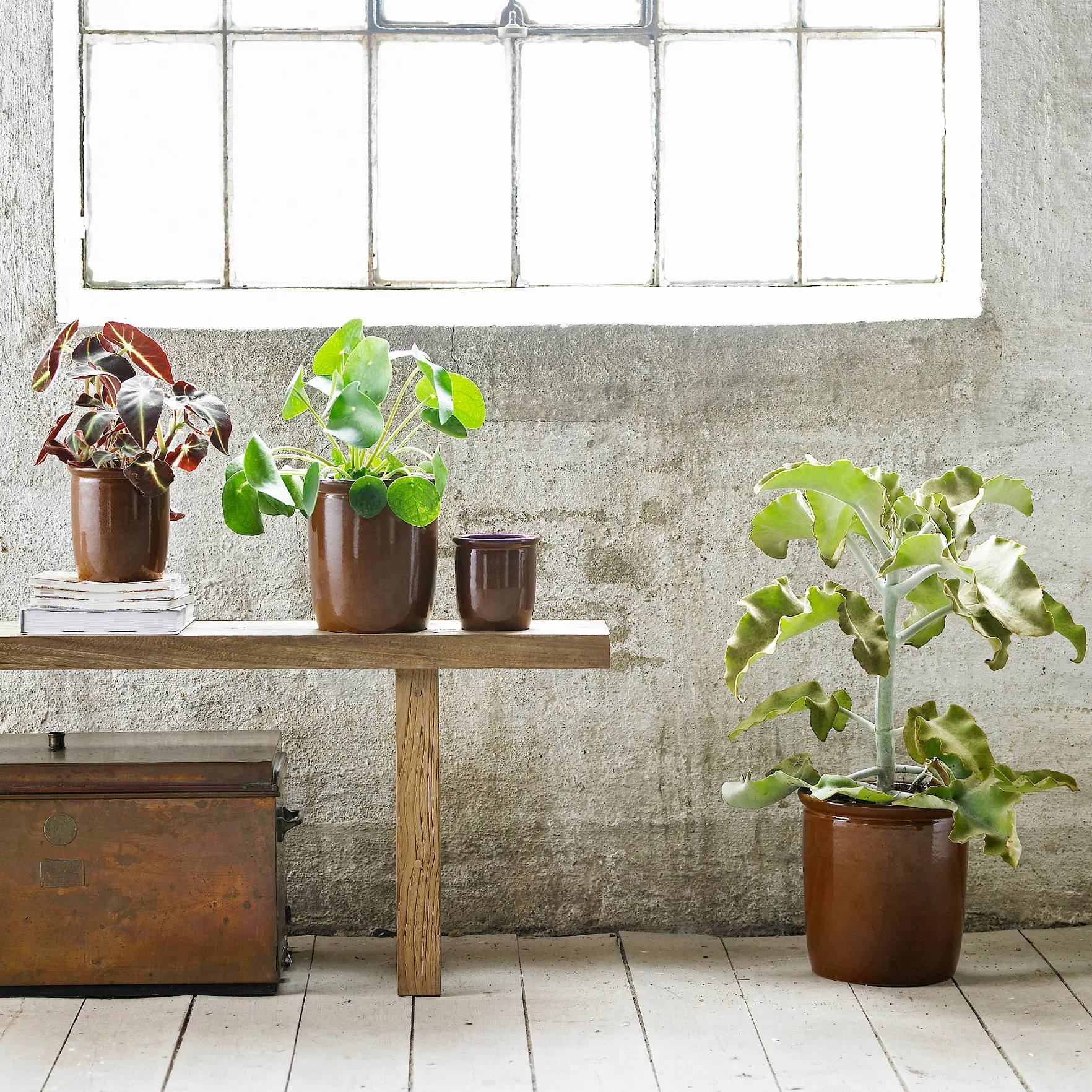 Pickle ジャー 0.5 l, brown Knabstrup Keramik